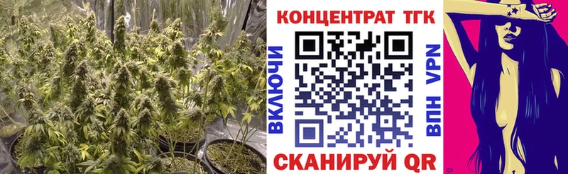 Купить  Минусинск  ТГК THC oil 